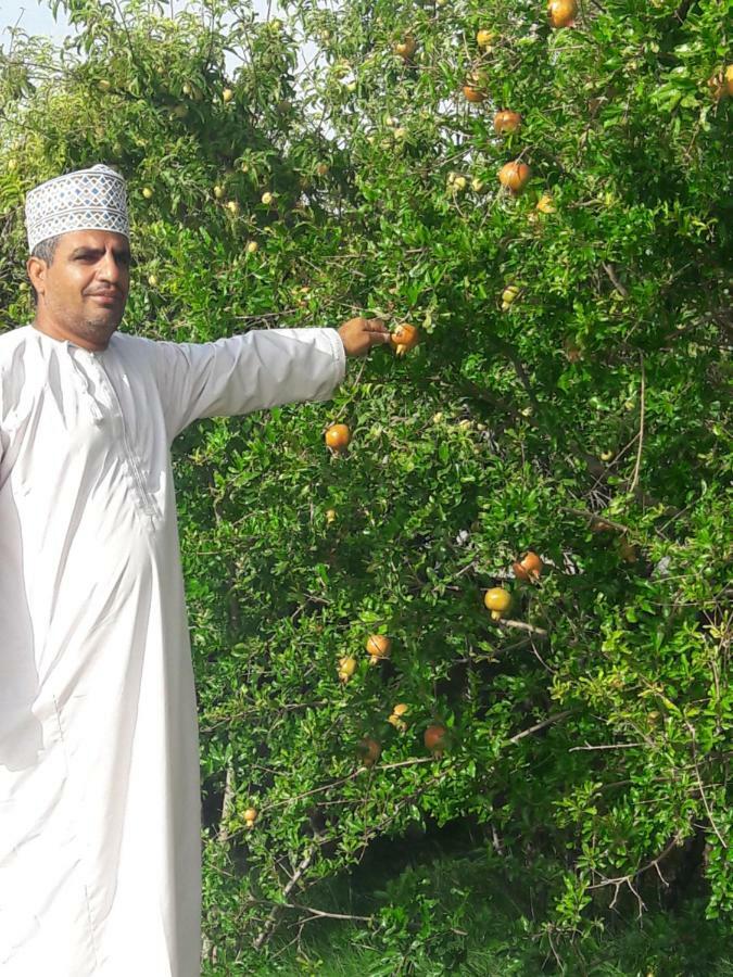 Al Ḩamrāʼ Abu Omair Jabal Shams House酒店 外观 照片