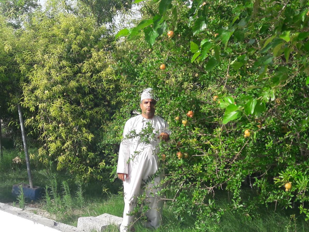 Al Ḩamrāʼ Abu Omair Jabal Shams House酒店 外观 照片