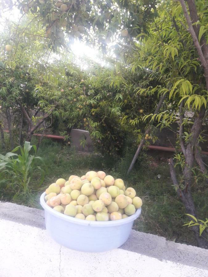 Al Ḩamrāʼ Abu Omair Jabal Shams House酒店 外观 照片